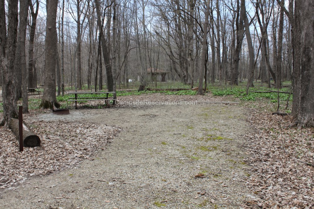 Campsite 12 in Rice Lake State Park Campground A Loop at Rice Lake